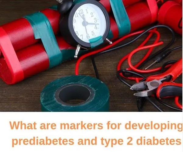 What are Market for Developing Prediabetes and Type 2 Diabetes