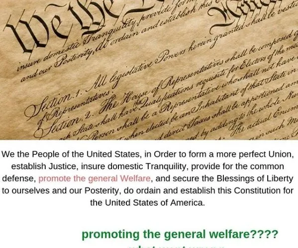 What went Wrong with Promoting the General Welfare