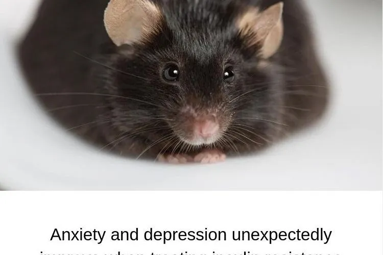 Anxiety and Depression