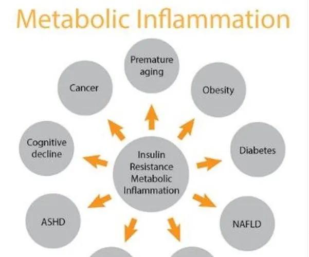 Insulin Resistance and Metabolic Inflammation