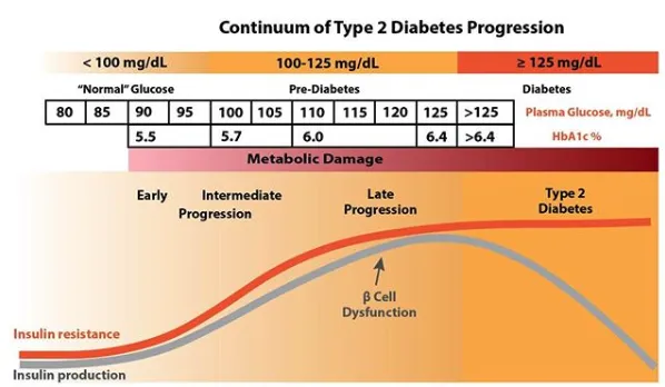 Continuum of Type 2 Diabetes Progression