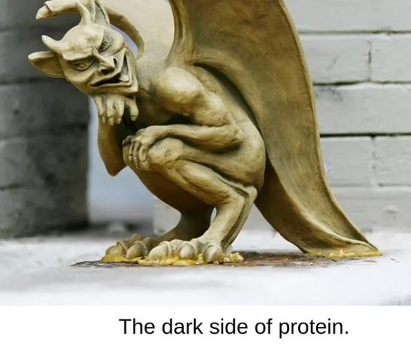 The Dark Side of Protein