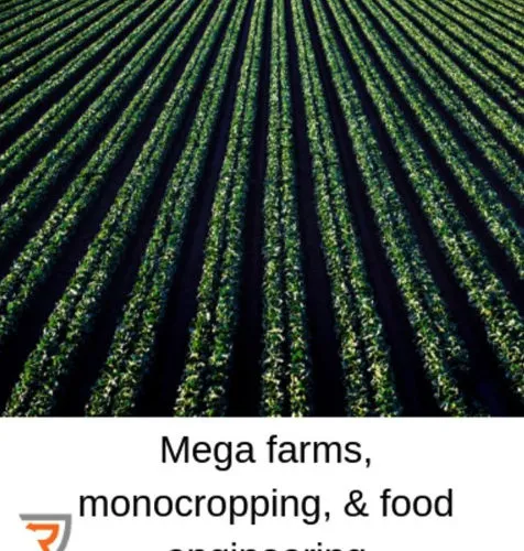 Mega farms, monocropping, and food engineering