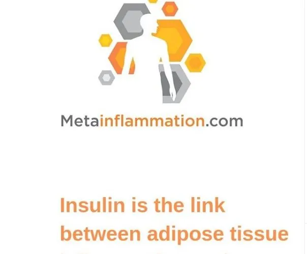 Insulin is The Link Between Adipose Tissue Inflammation and Metabolic Syndrome.