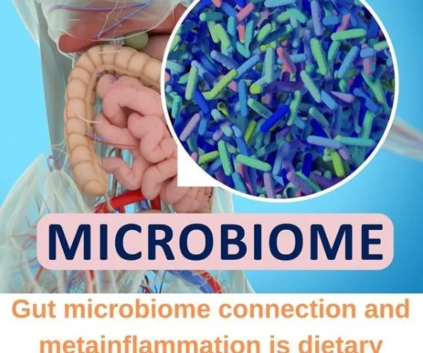 Microbiome
