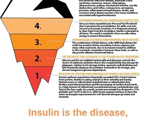 Insulin is The Disease, Glucose is Just The Symptom.