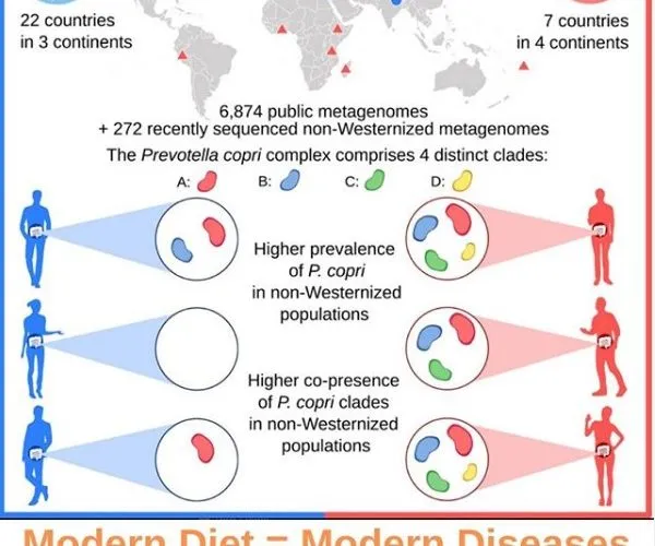 Modern Diet = Modern Diseases, What You Eat Matters!!
