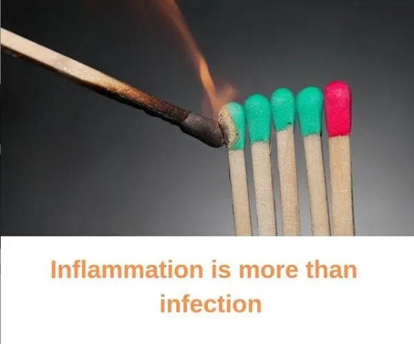 Inflammation and Its Outcomes