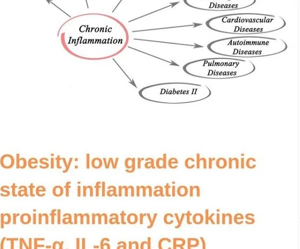 Obesity: Low Grade Chronic State of Inflammation Proinflammatory Cytokines (TNF-α, IL-6 and CRP)