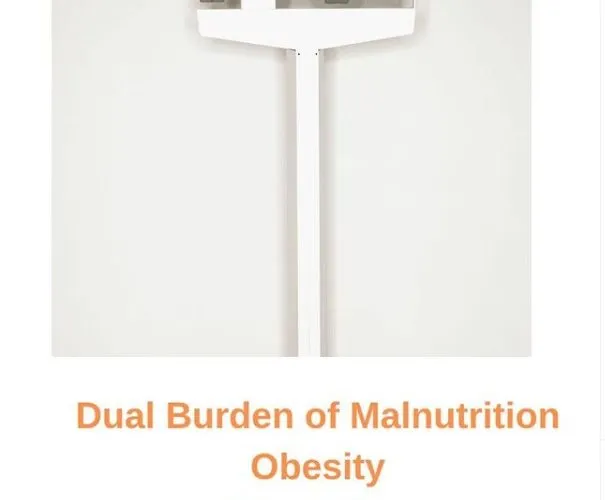 Dual Burden of Malnutrition Obesity Starvation