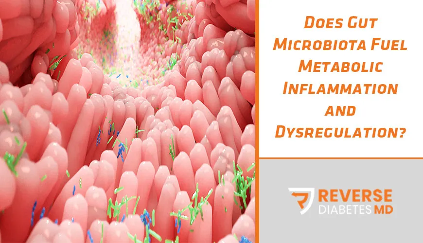Does Gut Microbiota Fuel Metabolic Inflammation and Dysregulation?