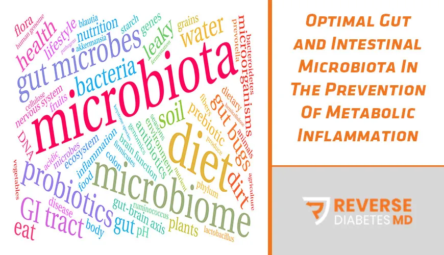 Optimal Gut and Intestinal Microbiota In The Prevention Of Metabolic Inflammation