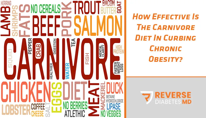 How Effective Is The Carnivore Diet In Curbing Chronic Obesity?