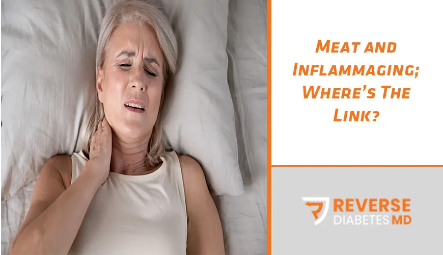 Meat and Inflammaging; Where’s The Link?