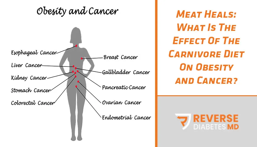 Meat Heals: What Is The Effect Of The Carnivore Diet On Obesity and Cancer?