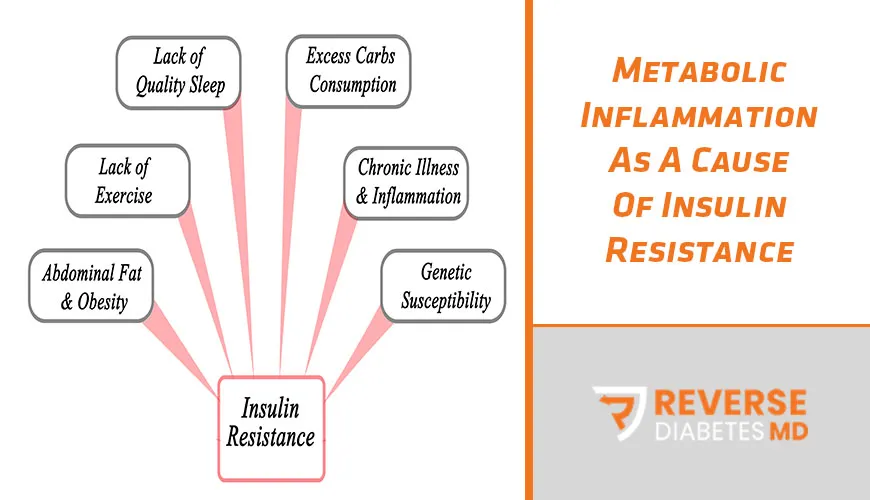 Metabolic Inflammation As A Cause Of Insulin Resistance