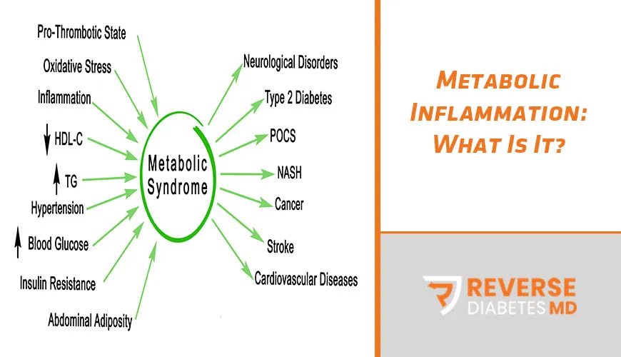 Metabolic Inflammation: What Is It?