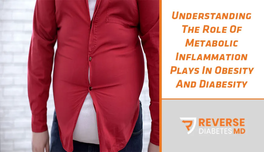 Understanding The Role Of Metabolic Inflammation Plays In Obesity And Diabesity