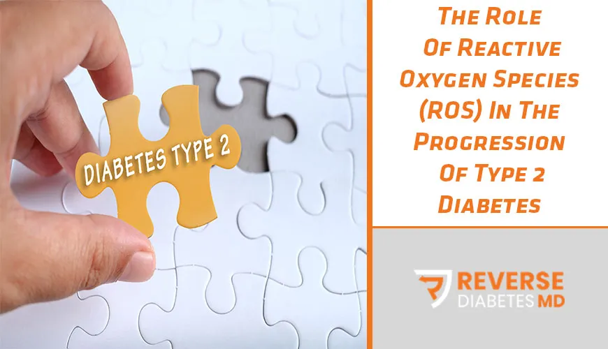 The Role Of Reactive Oxygen Species (ROS) In The Progression Of Type 2 Diabetes