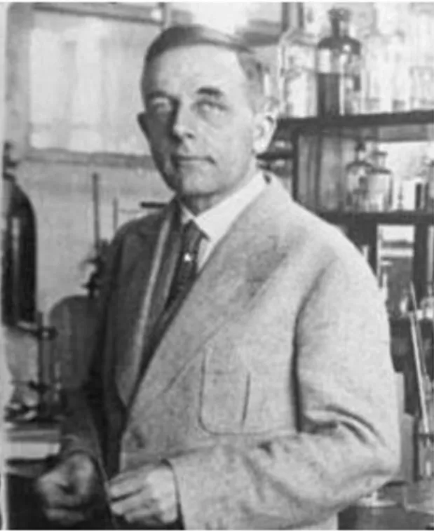 The Warburg Effect