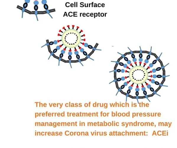 The ACE Inhibitors