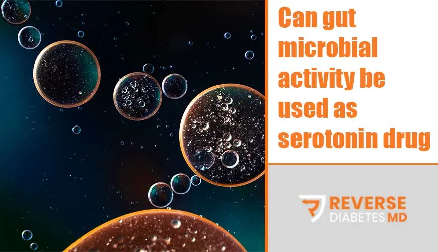 Can gut microbial activity be used as serotonin drug treatment?