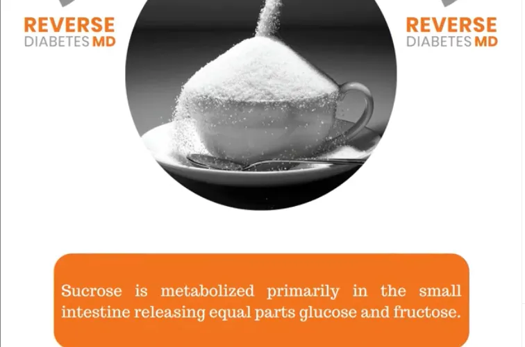 Sucrose (Table Sugar) is a Disaccharide Made of 50% Fructose and 50% Glucose.