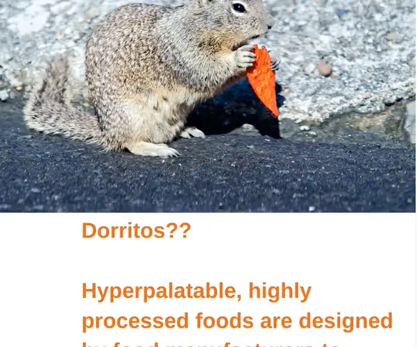 Dorritos??