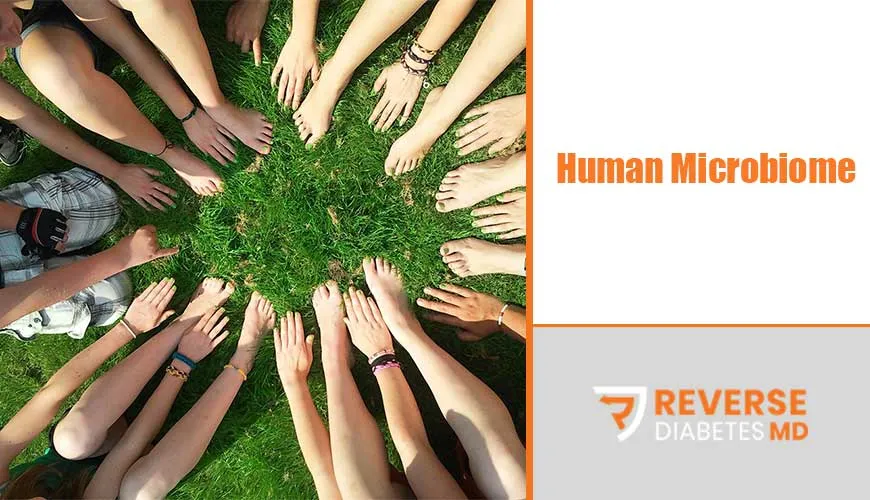Human Microbiome