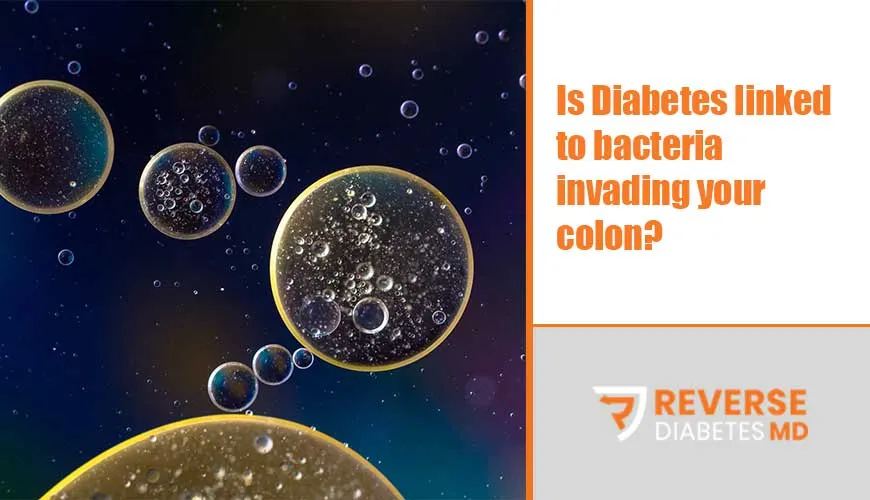 Is Diabetes linked to bacteria invading your colon?