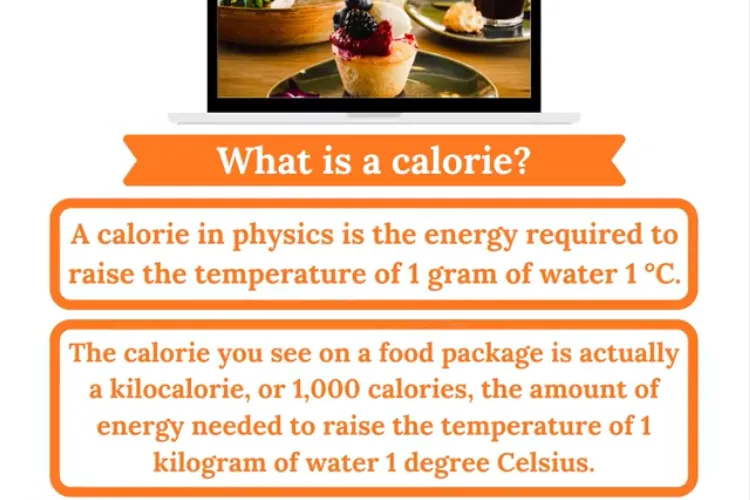 What Is A Calorie?