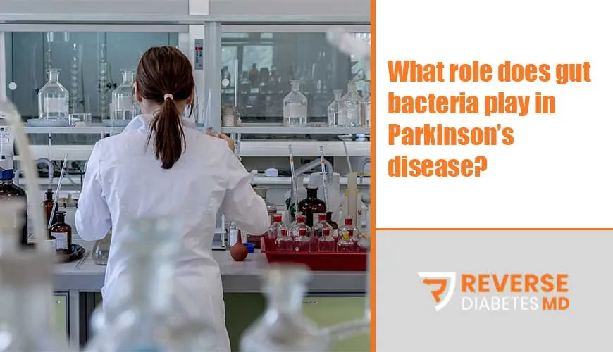 What role does gut bacteria play in Parkinson’s disease?