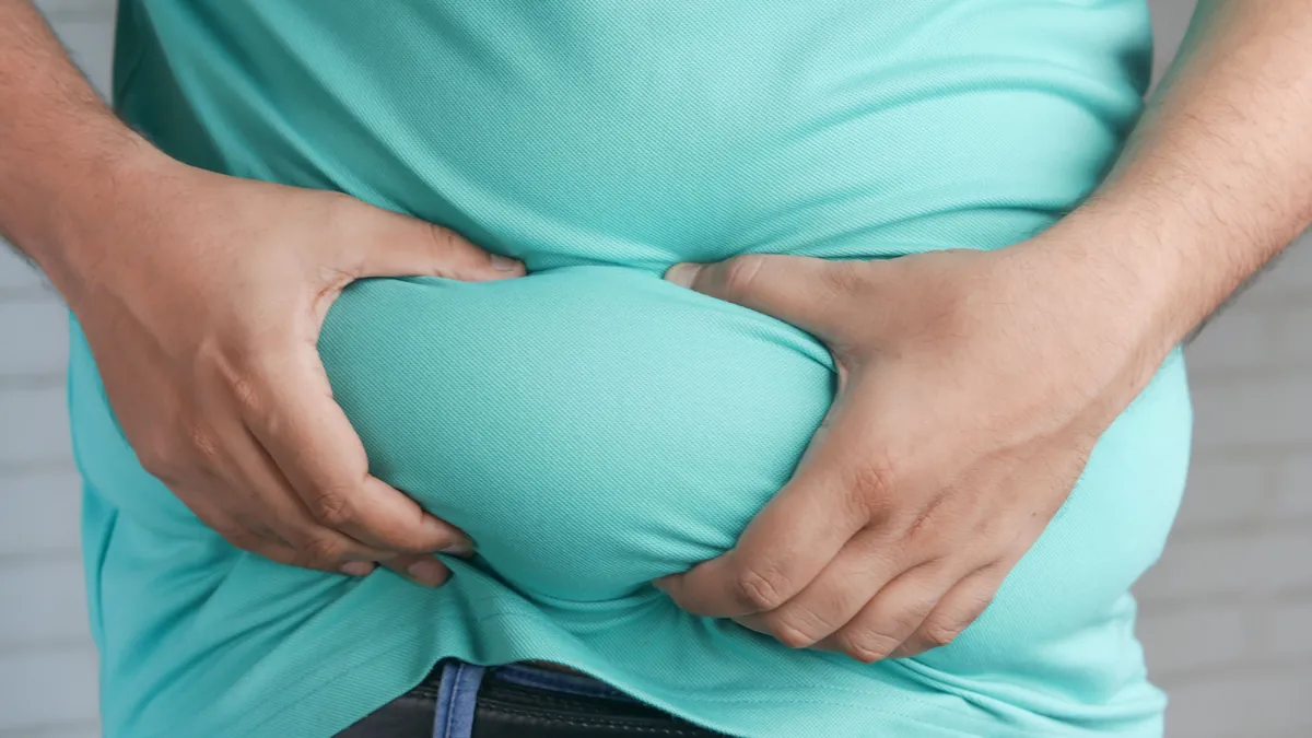 Diabesity and Inflammation: A Case Of Chicken And Egg?